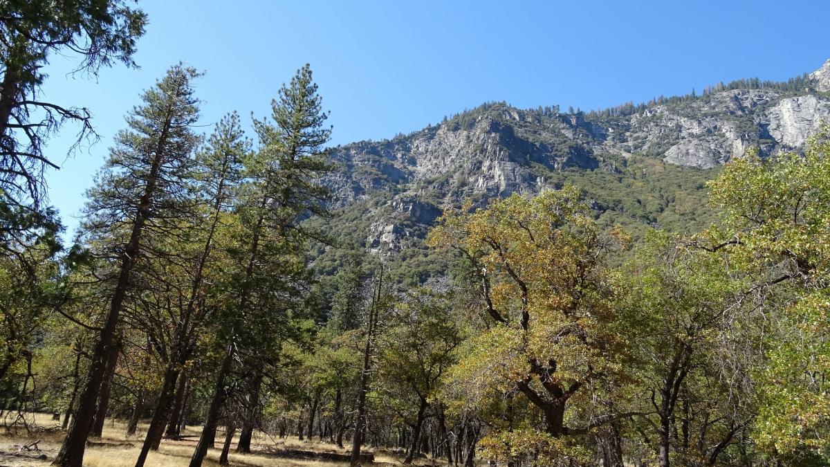 Yosimite National Park