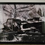 a symbol of the campfire this charred 1965 Ford Mustang is a monument that holds powerful meaning the main elements are the tree extending from behind the roof to represent new growth the dark grill focal point and the balloon tied to the roof pillar to r