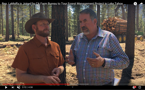 Rep. LaMalfa is Joined by CA Farm Bureau to Tour Forest Management Project in Lake Tahoe 8.16.19 