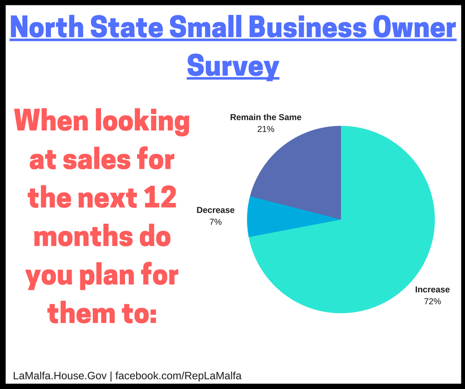 Sales Next 12 Months 